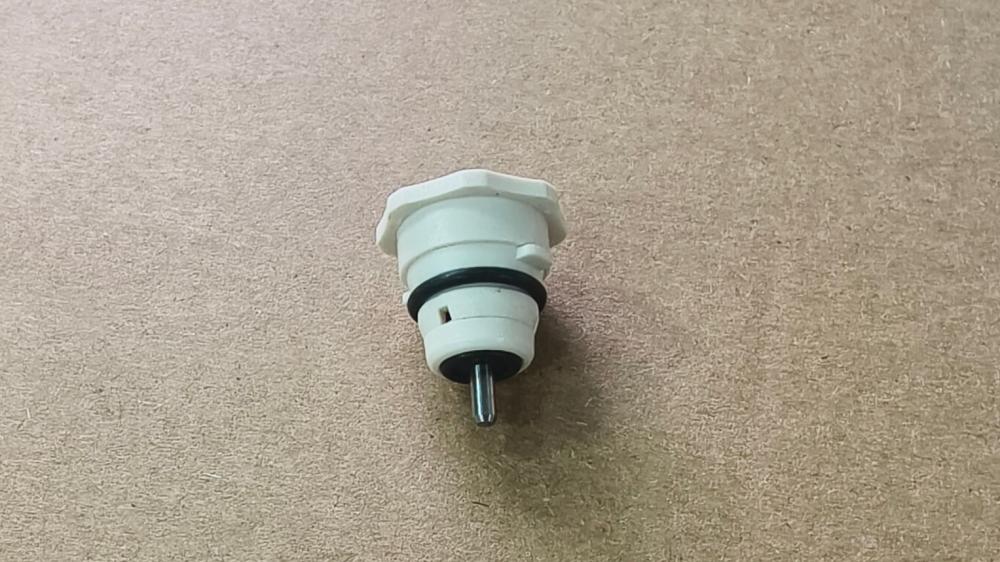 Check Valve